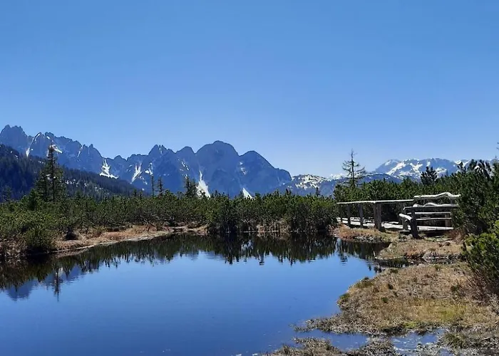 Deluxapartment Simon By Interhome