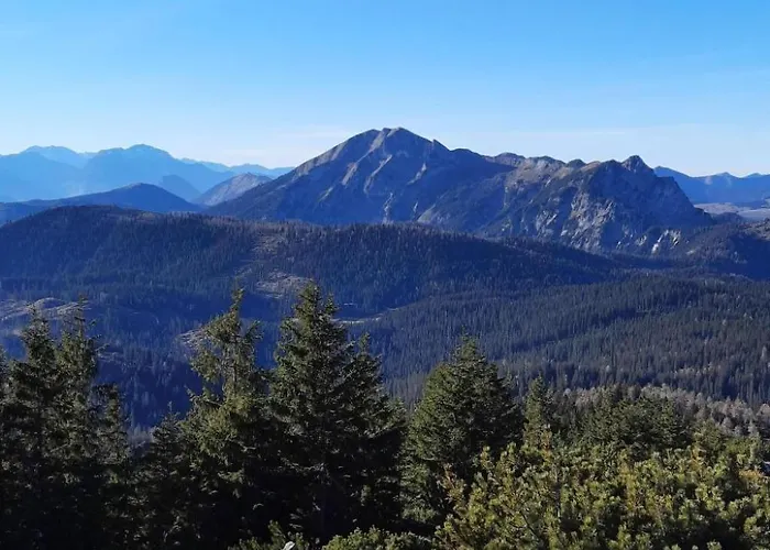 Deluxapartment Simon By Interhome 公寓 格绍